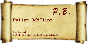 Paller Bálint névjegykártya
