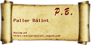 Paller Bálint névjegykártya